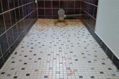 Entfernung des alten Bodenbelags