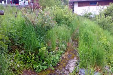 Gartenkultivierung in Teisnach