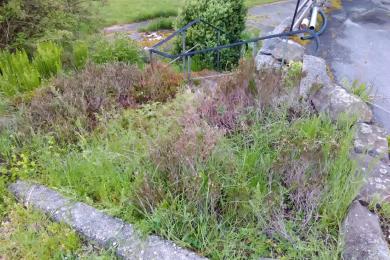 Gartenkultivierung in Teisnach