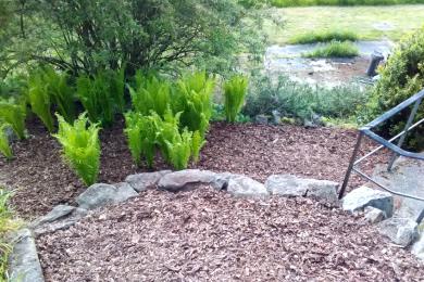 Gartenkultivierung in Teisnach