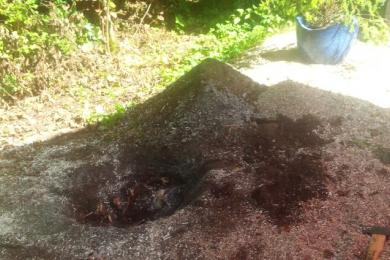 Gartenkultivierung und Baumzuschnitt in Spiegelau