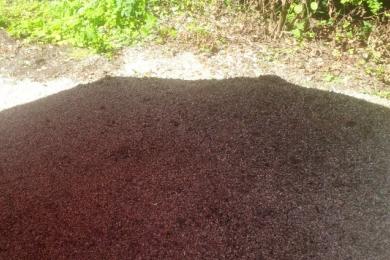 Gartenkultivierung und Baumzuschnitt in Spiegelau