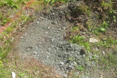 Gartenkultivierung und Baumzuschnitt in Spiegelau