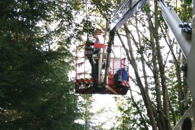Gartenkultivierung und Baumzuschnitt in Spiegelau