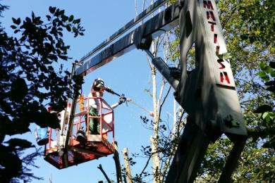 Gartenkultivierung und Baumzuschnitt in Spiegelau