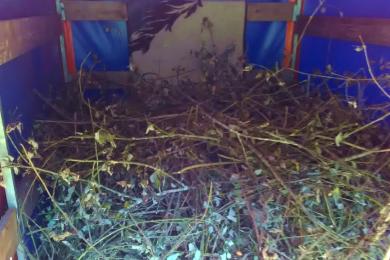 Transport von Grüngut