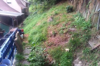 Steilhang mit Freischneider bearbeitet