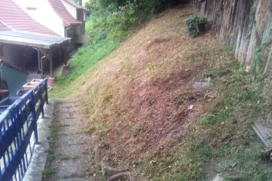 Steilhang mit Freischneider bearbeitet