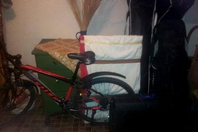 Transport von Hausrat