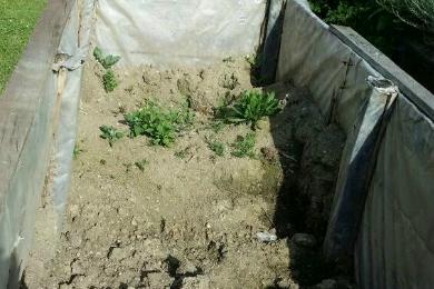 Demontage eines alten Hochbeets