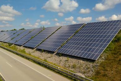 Grünpflege Photovoltaikpark Töging