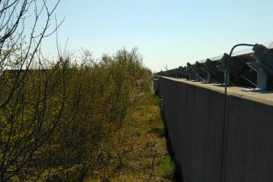 Grünpflege Photovoltaikpark Töging