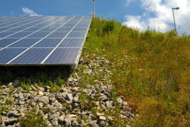 Grünpflege Photovoltaikpark Töging