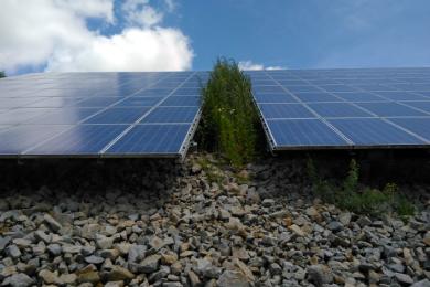 Grünpflege Photovoltaikpark Töging