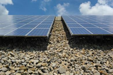 Grünpflege Photovoltaikpark Töging