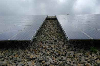 Grünpflege Photovoltaikpark Töging