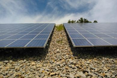 Grünpflege Photovoltaikpark Töging