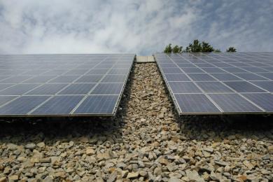 Grünpflege Photovoltaikpark Töging