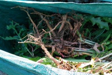 Grünpflege Photovoltaikpark Töging