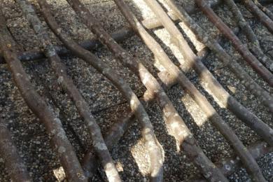 Fertigung einer Gartenzauntüre