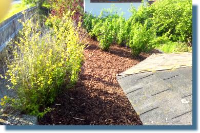 Gartenkultivierung in Teisnach