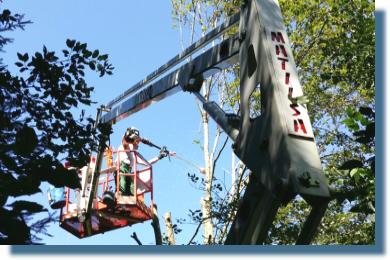 Gartenkultivierung in Spiegelau